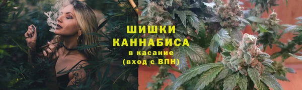 дурь Богданович