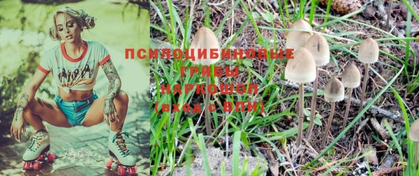 дживик Верея