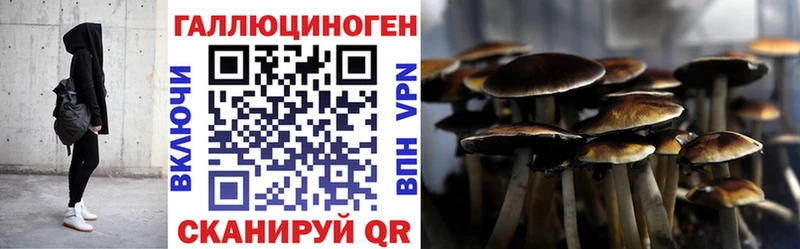 магазин продажи наркотиков  Афипский  Галлюциногенные грибы мицелий 
